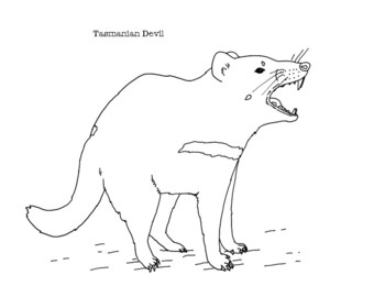 Tasmanian devil coloring page by mama draw it tpt