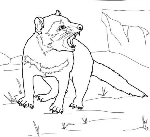 Tasmanian devil growling coloring page free printable coloring pages tasmanian devil animal coloring pages tasmanian devil cartoon