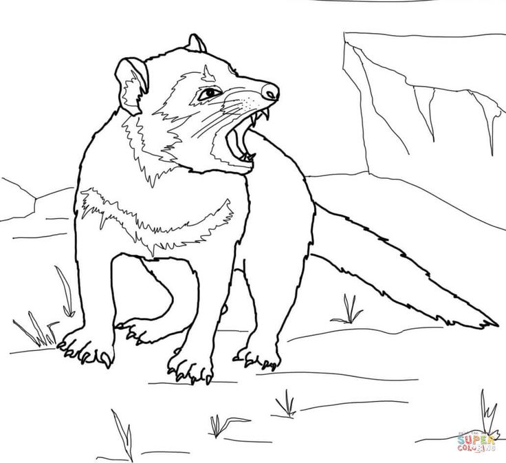 Tasmanian devil growling coloring page free printable coloring pages tasmanian devil coloring pages free printable coloring pages