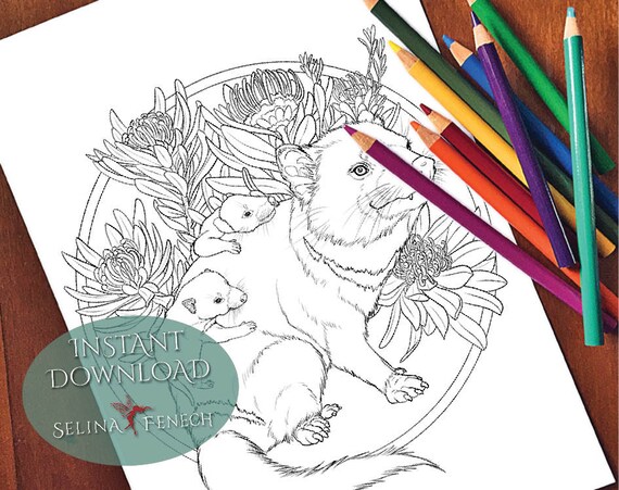 Tasmanian devil australian animals and wildflowers coloring pagedigi stamp fantasy printable download by selina fenech