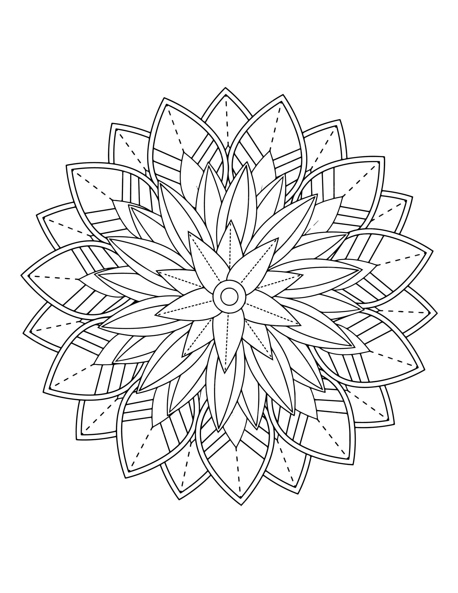 Premium vector flower coloring book floral coloring book for adults mandala coloring pages henna tattoo