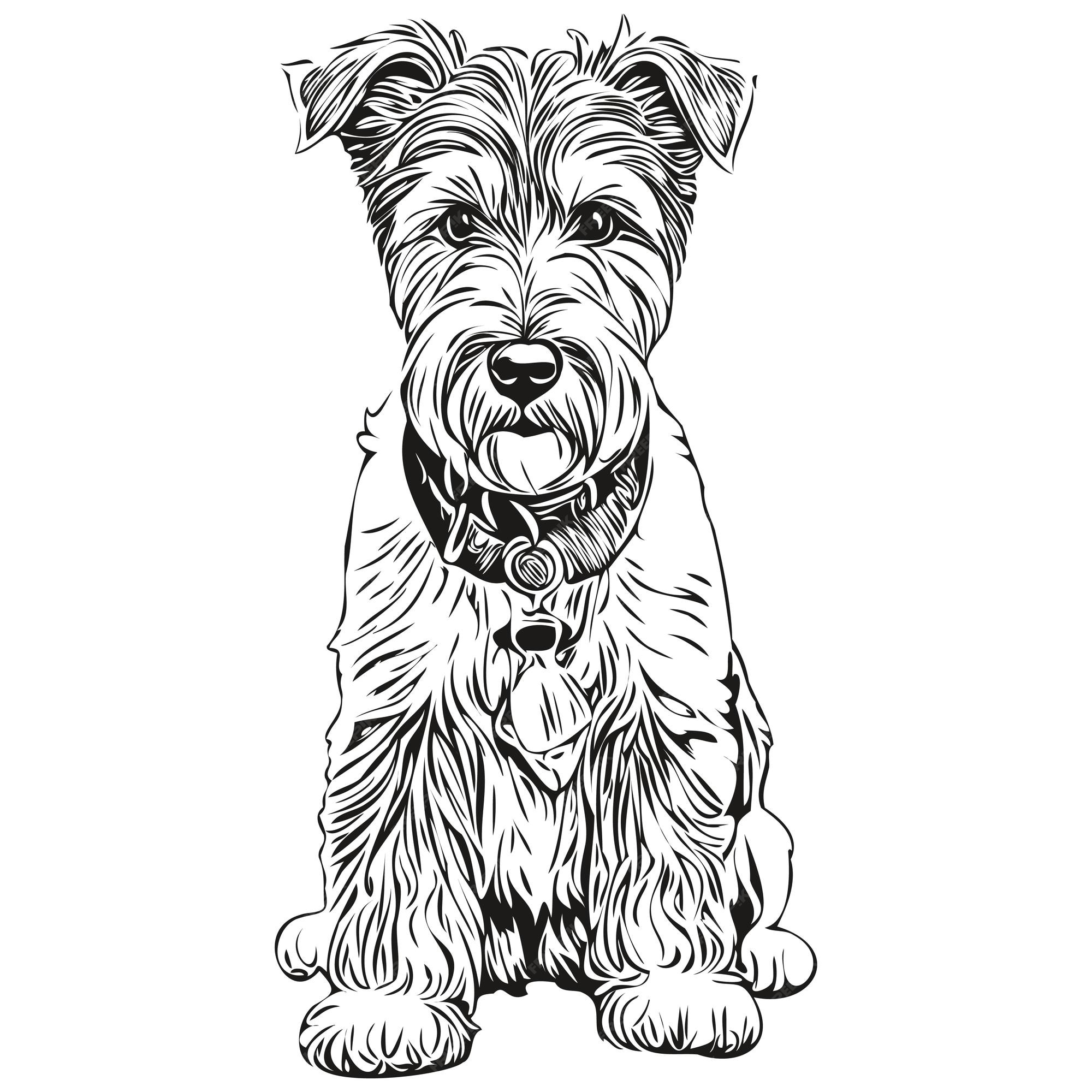 Retrato de perro lakeland terrier en dibujo manual de animal vectorial para tatuaje o camiseta impra ilustraciãn mascota de raza realista vector premium