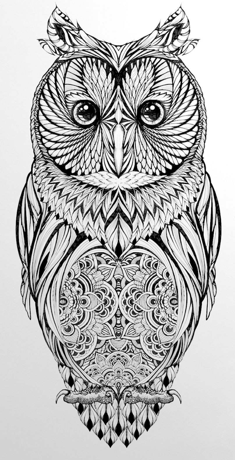 Pin by m marina on coloring pages owls drawing owl tattoo design owl coloring pages