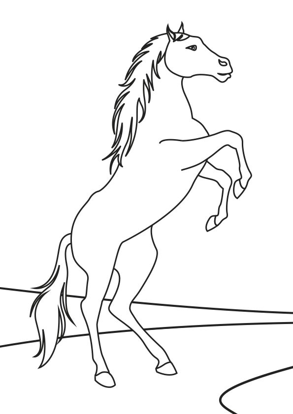 Dibujo de un caballo rampante para colorear a rampant horse coloring page dibujos de caballos caballos de carreras caballos saltando