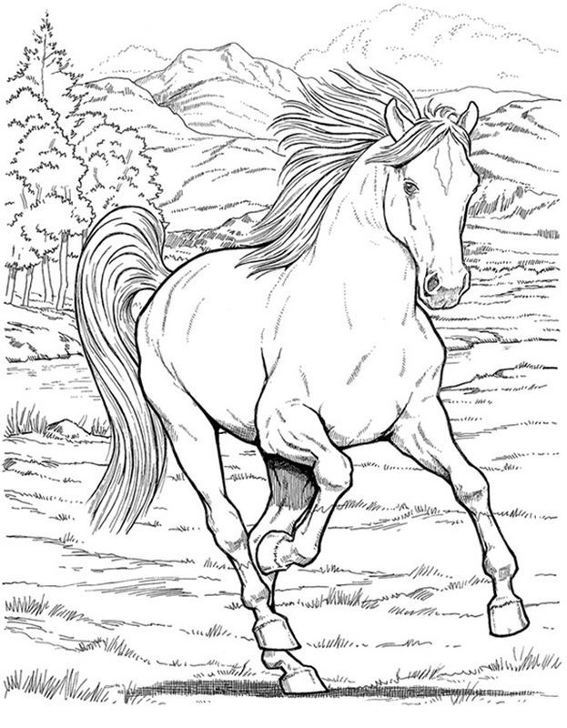 Colorear caballo dibujo un caballo al galope horse coloring books horse coloring pag animal coloring pag