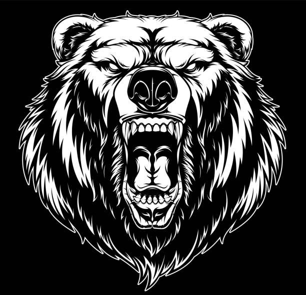 Tatuajes oso grizzly ilustraciones de stock grãficos vectoriales libres de derechos y clip art
