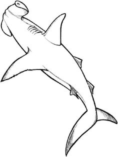 Ideas de tiburones tiburones dibujo de tiburãn tatuajes de ocãano