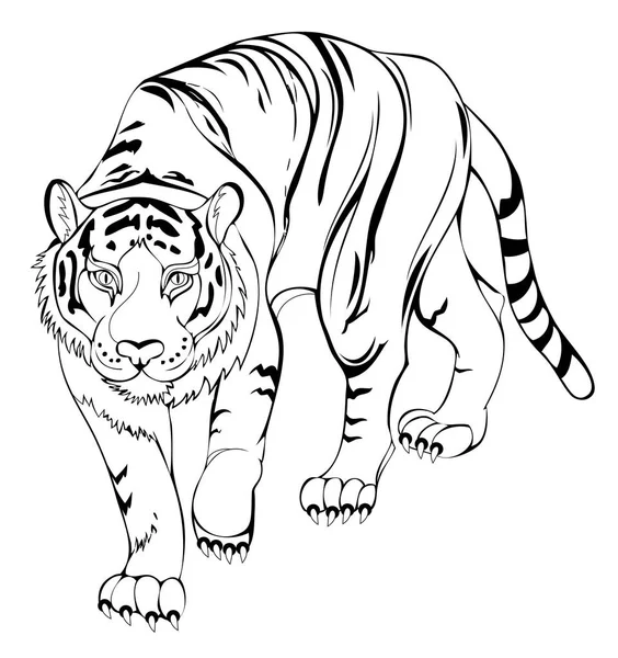 Tiger coloring page imãgenes de stock de arte vectorial