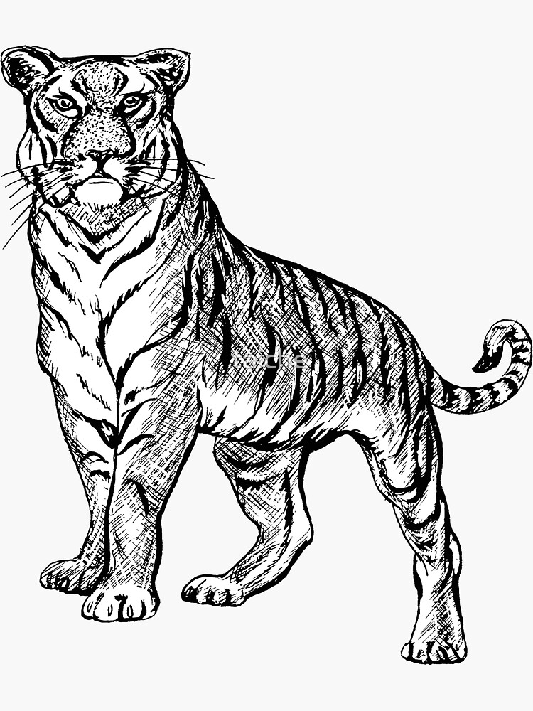 Pegatina for sale con la obra tigre line art dibujo arte del tatuaje en blanco y negro de taiche