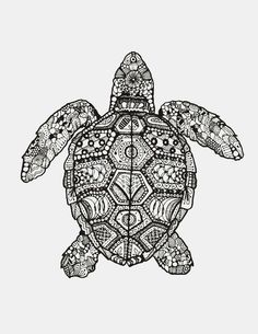 Ideas de tortuga tatuajes de tortugas tortugas tortugas pintadas