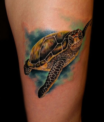 Significado y diseãos de tatuajes de tortugas marinas