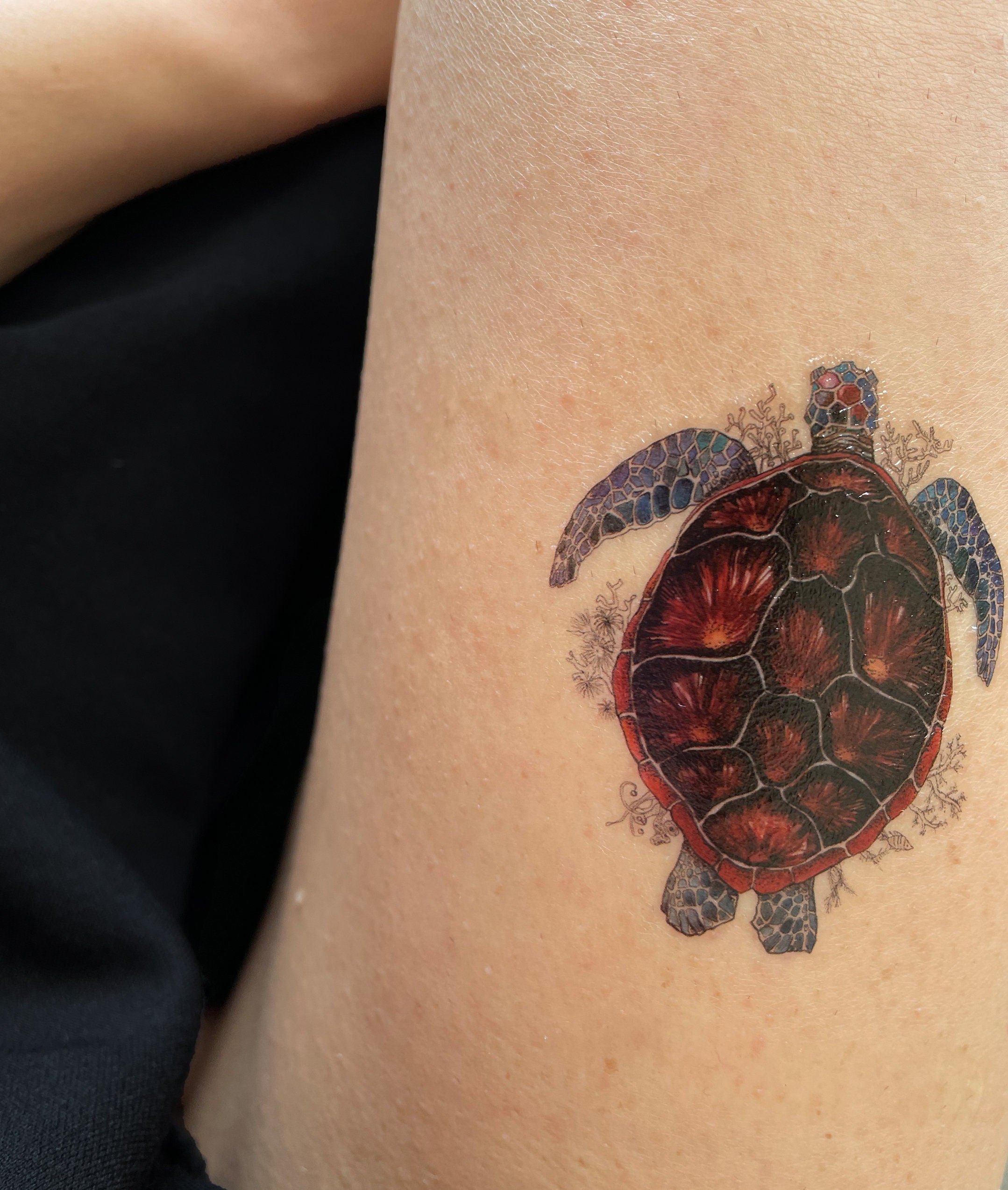 Tatuaje tortuga