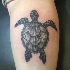 Ideas de tortuga tatuaje tatuajes de tortugas disenos de unas tatuajes de tortugas marinas