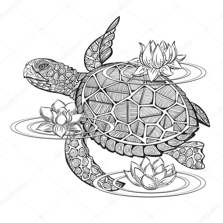 Tortuga mandalas