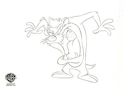 Looney tunes taz