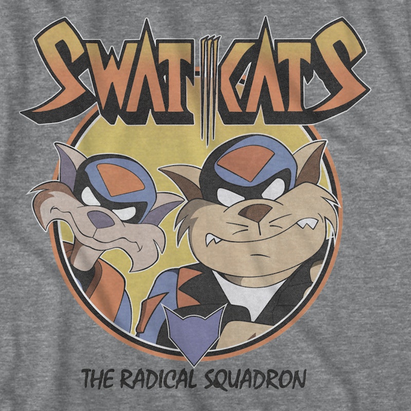 Swat kats the radical squadron t