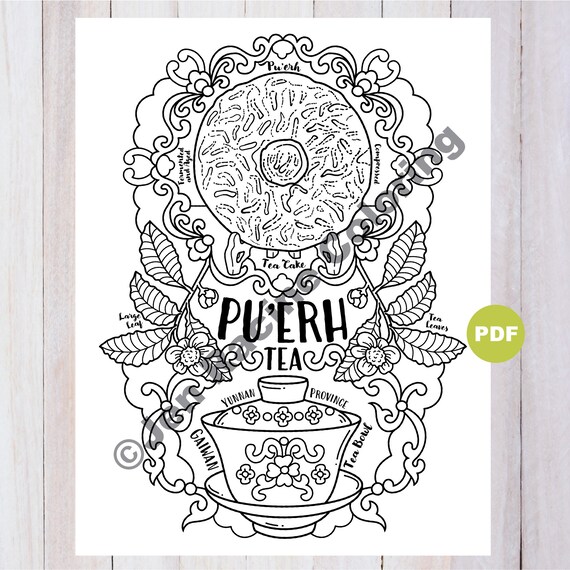 Puerh tea coloring page tea artwork digital download coloring page