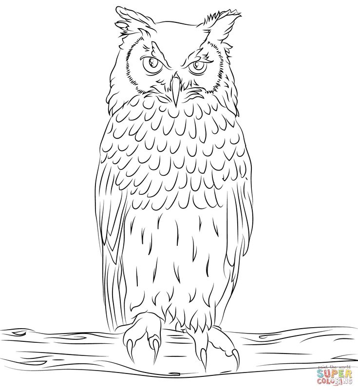 Wonderful image of owls coloring pages