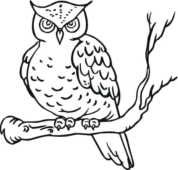 Free printable owl coloring pages for kids buhos pa dibuj buhos pa colore lechuza pa colore