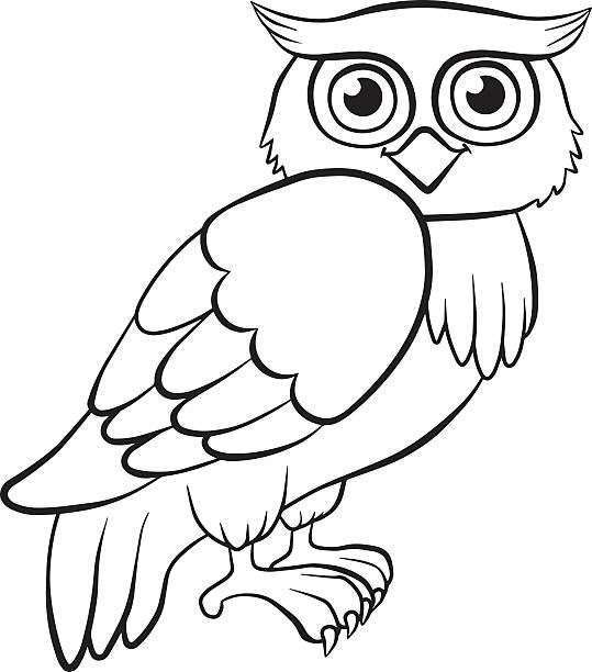 Cute owl sits stock illustration