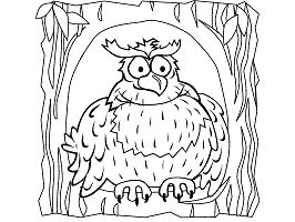 Owls coloring pages and printable activities