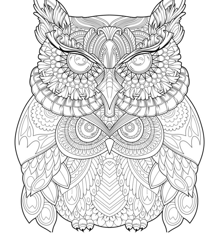 Pin by barbara on coloring owl cute coloring pag mandala coloring coloring pag