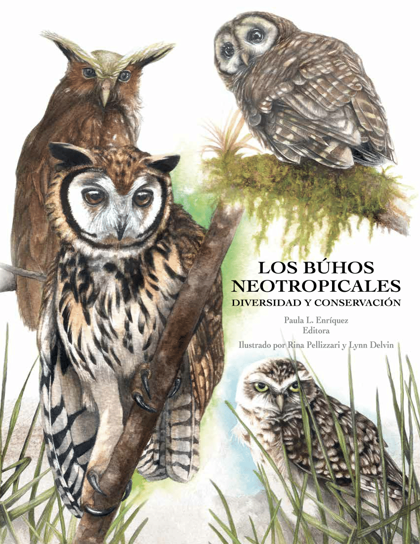 Pdf the owls of belize