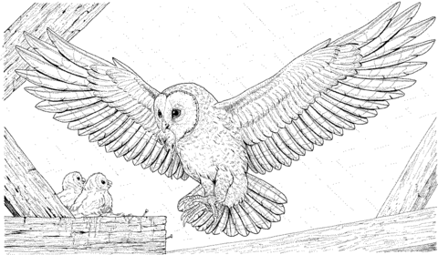 Lechuza ãºn trae una presa pa sus pichones dibujo pa colore owl coloring pages animal coloring pages coloring pages