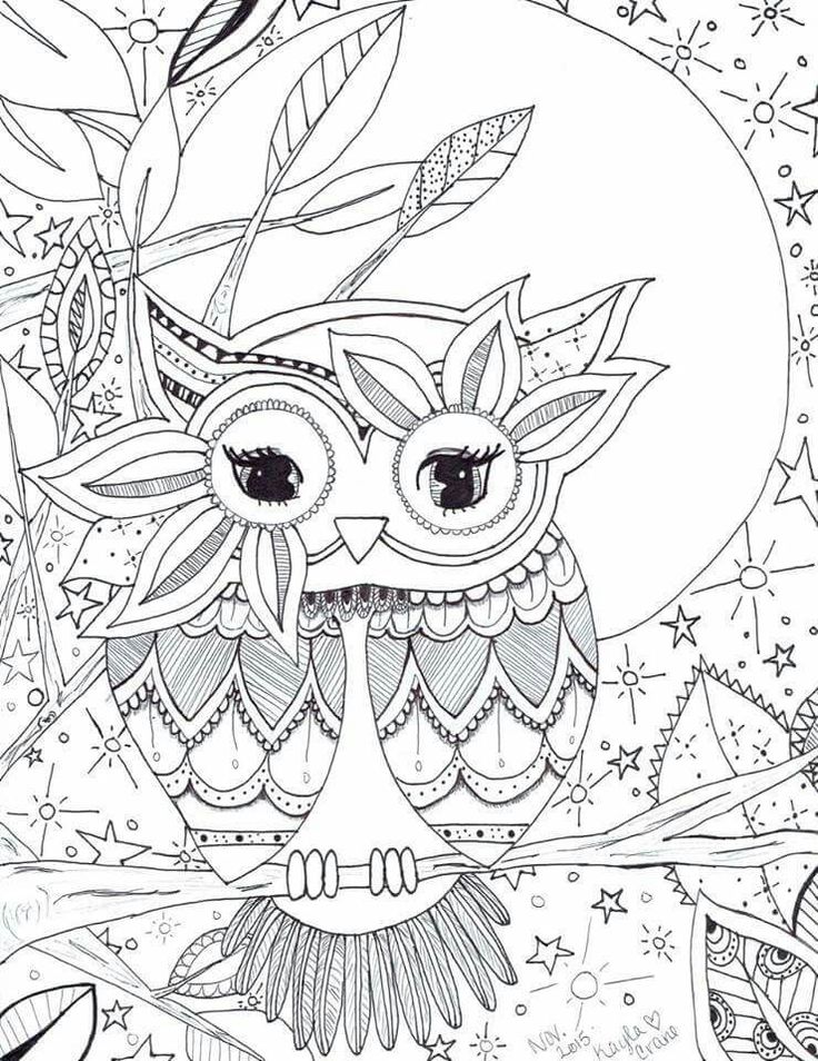 Owl coloring page â lechuza para colorear buhos para colorear lechuza dibujo