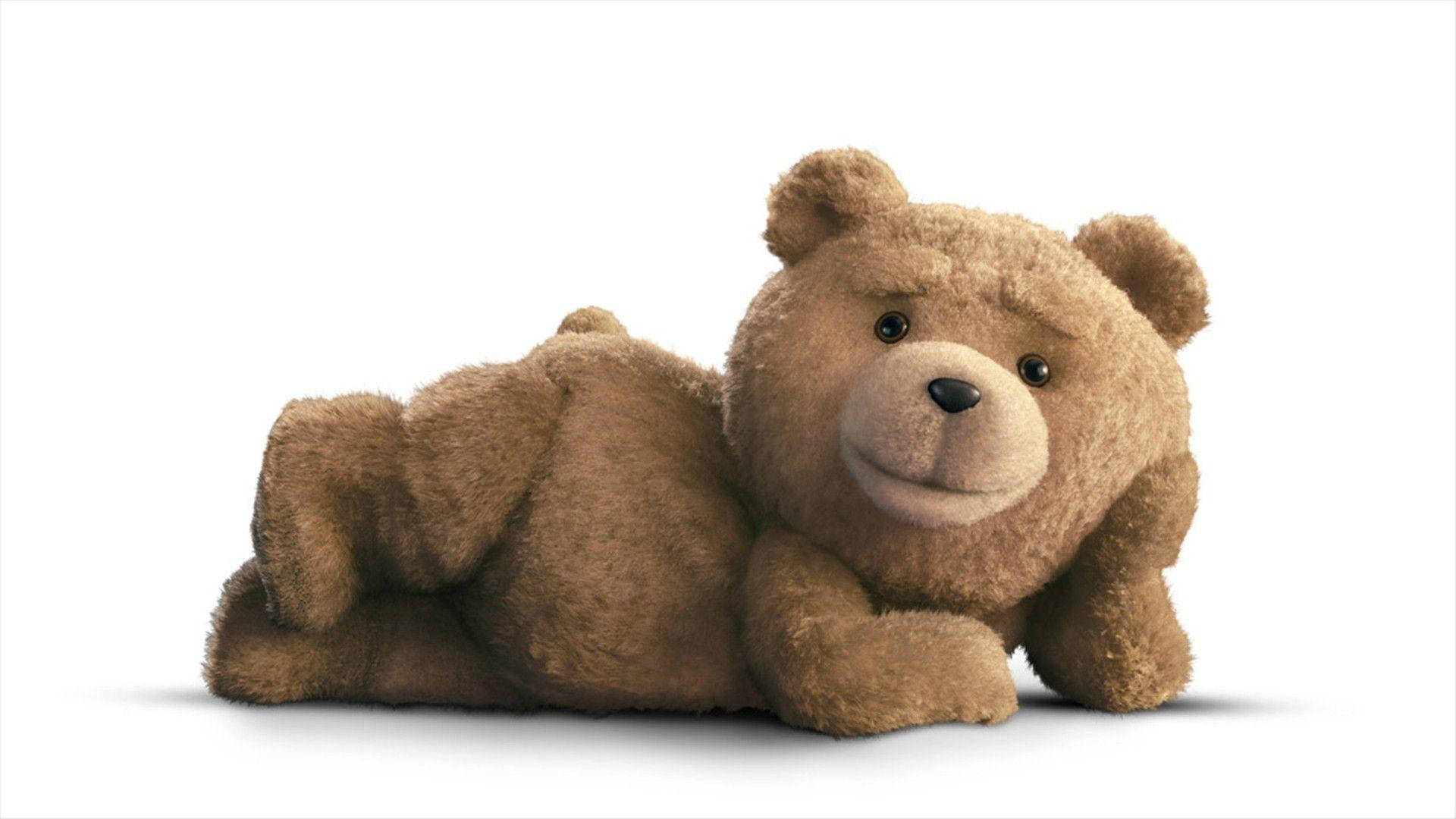 Download ted laying cutely wallpaper