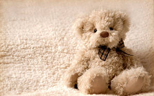 Download fluffy teddy bear wallpaper