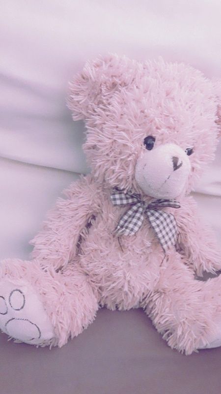 Teddy bear pink teddy bear wallpaper download