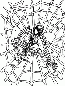 Spiderman