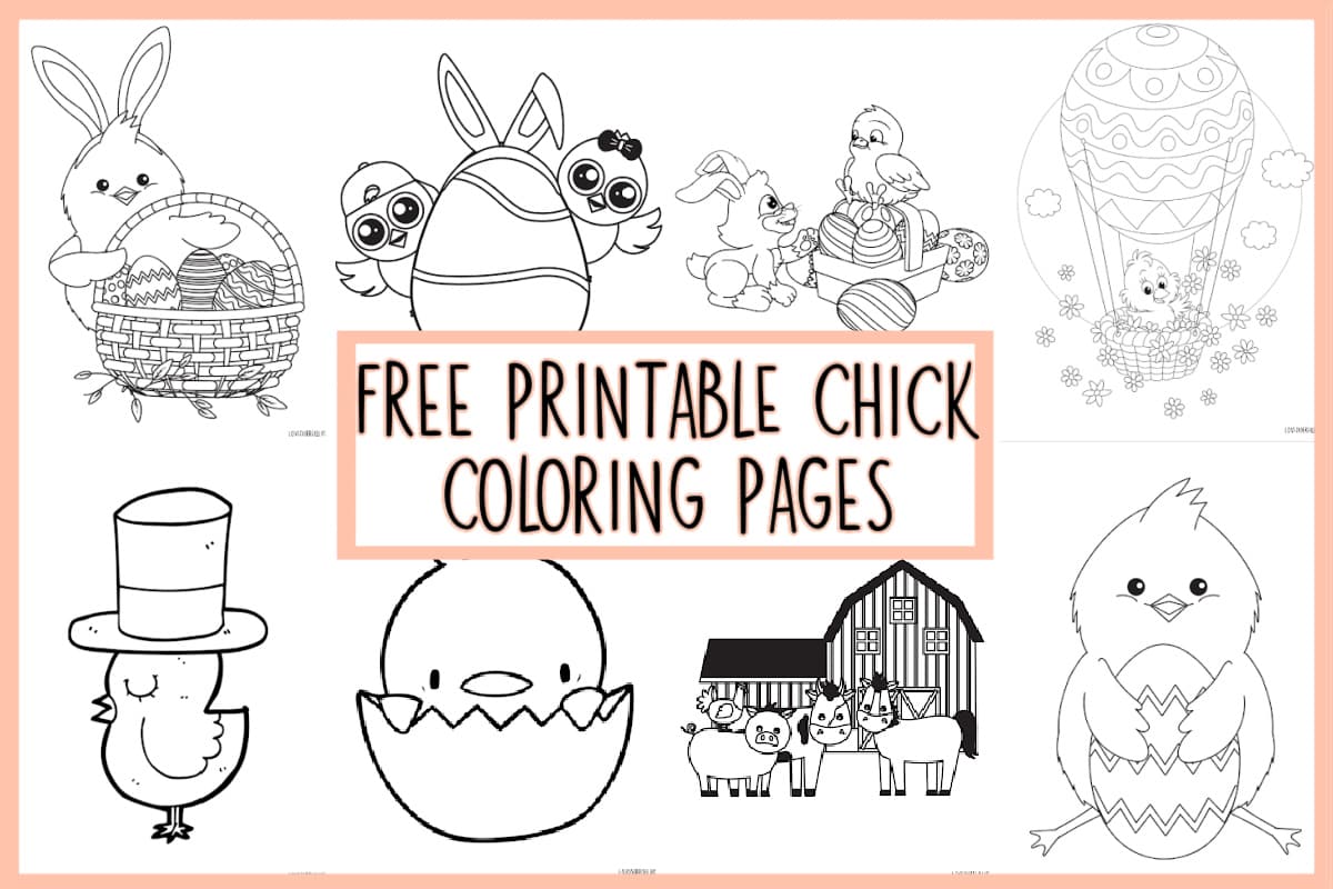 Chick coloring pages free printable for kids â love our real life