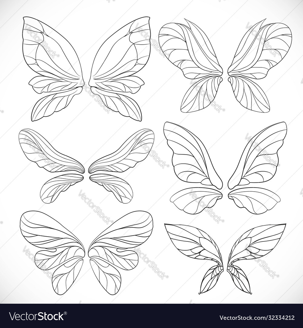 Fairy wings outlines set isolated on a white vector image