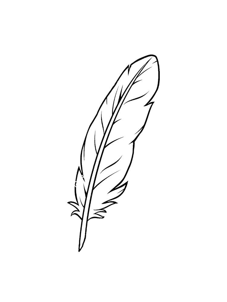 Feathers coloring pages feather drawing coloring pages feather