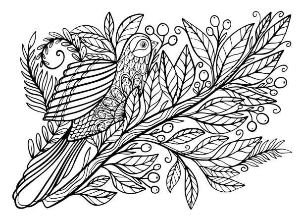 Coloring pages coloring book for adults beautiful template with artwork school educationbird hummingbird and twigs stock illustration