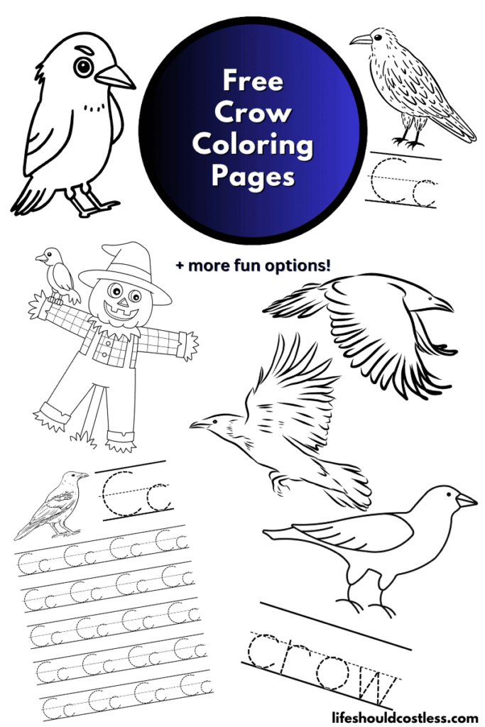 Crow coloring pages free printable pdf templates