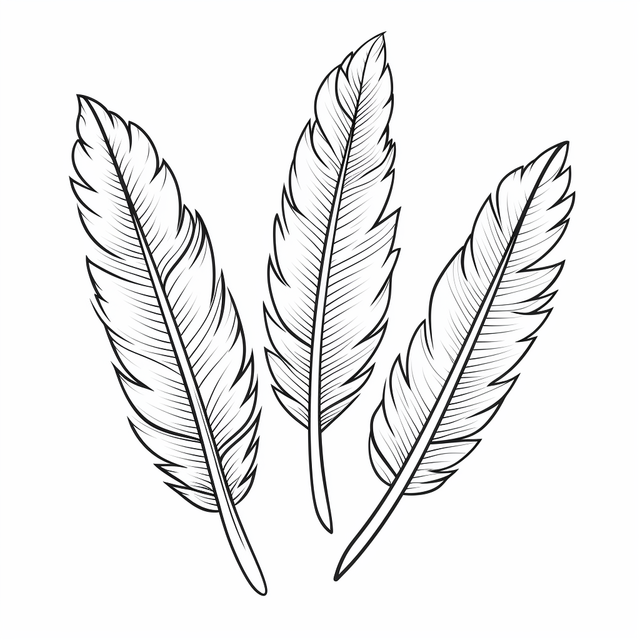 Black and white drawing of a feather outline sketch vector wing drawing feather drawing black and white drawing png and vector with transparent background for free download