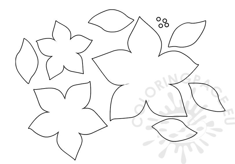Poinsettia template coloring page