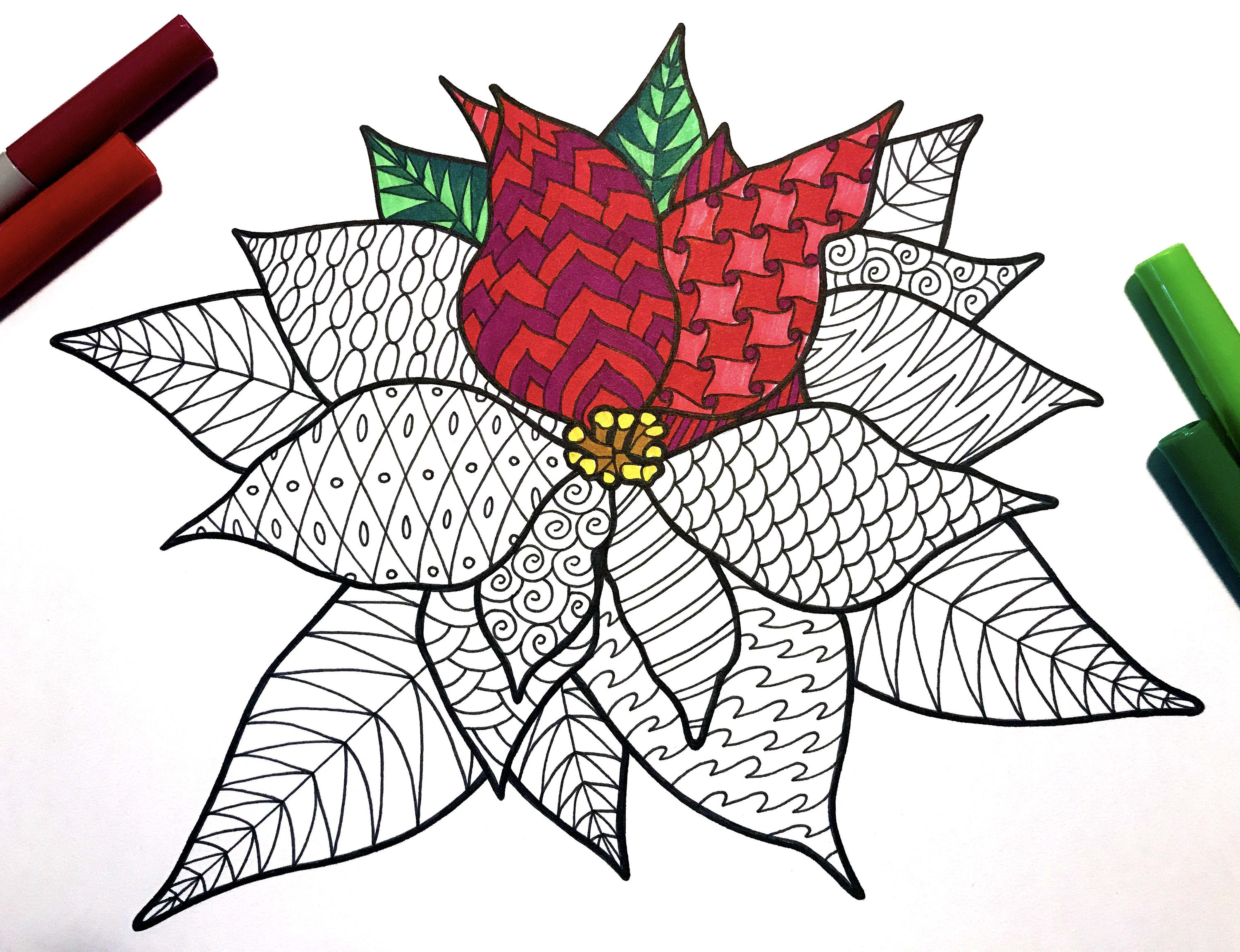 Poinsettia â pdf zentangle coloring page â scribble stitch