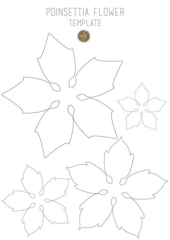 Diy paper poinsettia free template paper flower patterns paper christmas decorations flower template