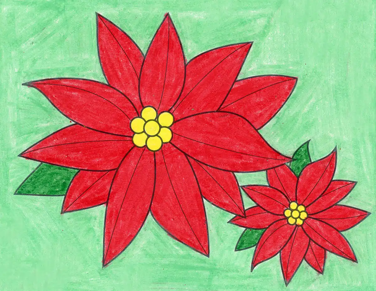 Easy how to draw a poinsettia tutorial poinsettia coloring page