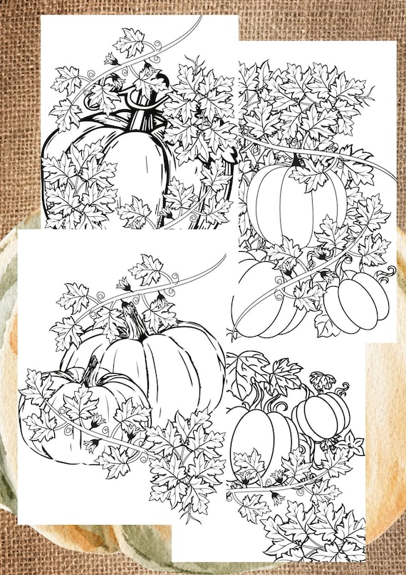 Pumpkin coloring page fall leaves coloring page adult coloring pages detailed coloring page instant download pages