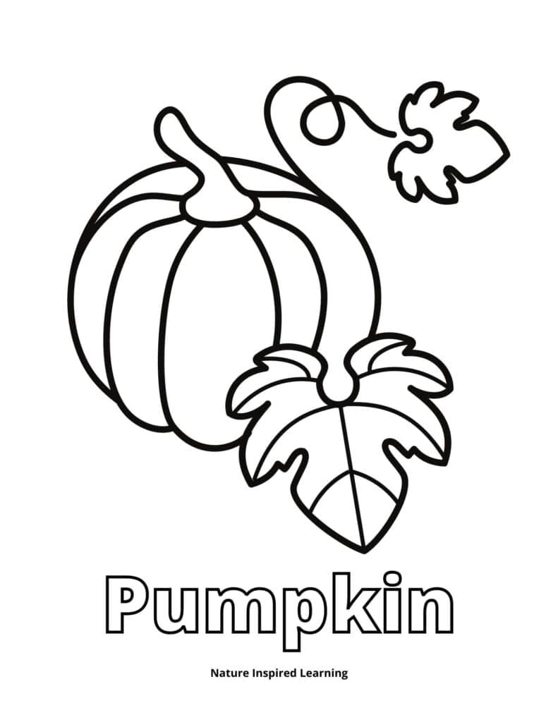 Pumpkin coloring pages