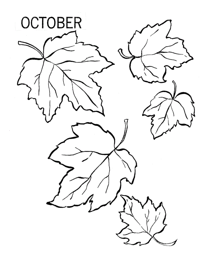 Free printable leaf coloring pages for kids