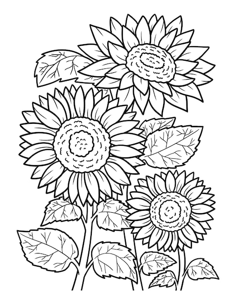 Premium vector sunflower coloring page for adults