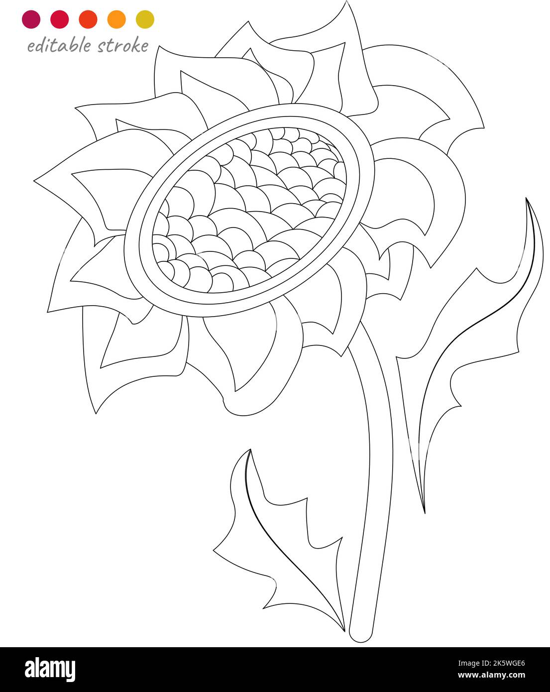 Sunflower coloring page cut out stock images pictures