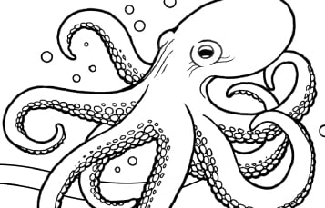 Coloring pages games