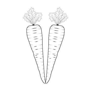 Premium vector carrot coloring pages